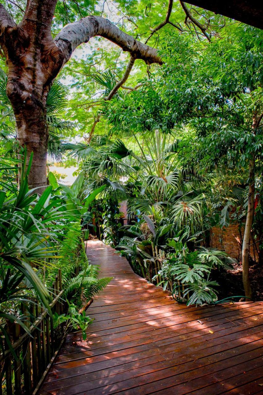 伊瓜苏秘密花园住宿加早餐旅馆 伊瓜苏港 外观 照片